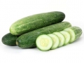 cucumber-tunnel-farming-in-pakistan-0