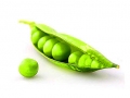 green-peas-production-technology-01