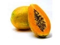 papaya-production-technology-in-pakistan-0